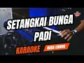 Download Lagu SETANGKAI BUNGA PADI KARAOKE NADA COWOK PRIA Key G