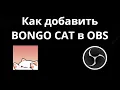 How to add Bongo Cat to OBS - a complete guide