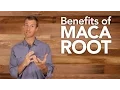 Download Lagu Benefits of Maca Root | Dr. Josh Axe