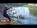 Download Lagu GAK NYANGKA!!!SAAT MANCING DI SUNGAI BESAR DANGKAL PENGHUNINYA IKAN BEOANGAN SUPER BESAR | fishing 