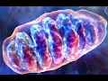 DNP - A Weightloss Drug So Powerful It Killed People