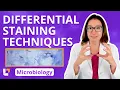 Differential Staining Techniques - Microbiology for Pre-Med Nursing Health Care leveluprn