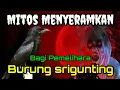 Download Lagu Burung Srigunting || Mitos Menyeramkan Bagi Pemelihara Burung Srigunting.