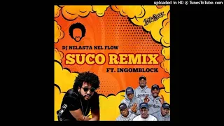 dj nelasta nel flow feat ingomblock suco remix 