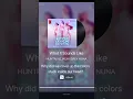 Download Lagu What it sounds like- Huntr/x #cover #whatitsoundslike #kpopdemonhunters