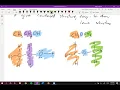 CHEM112 1 8 Lewis Structures of Organic Compounds