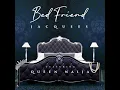 Bed Friend