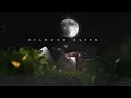 NoCap - Diamond Blick (Official Audio)
