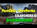 PurePerms PureChat PLUGIN POCKETMINE