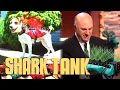 Protect Your Pooch With Coyote Vest Shark Tank US Shark Tank Global