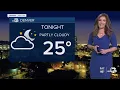 Danielle Grant 2024 ABC7