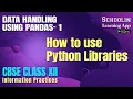 Using Python Libraries Class 12 IP How to Use Python Libraries Python Class 12 IP