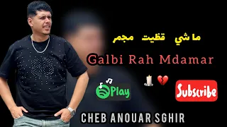                              ماشي قضيت مجمر                                          دندنها