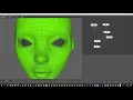 Face Transfer technique - UV Based