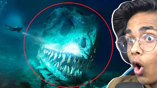 mysterious creatures of mariana trench