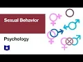 Sexual Behavior Psychology