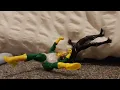 B G C FOREVER mini fight