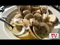 Explore Vero Beach Florida s hidden coastal gem