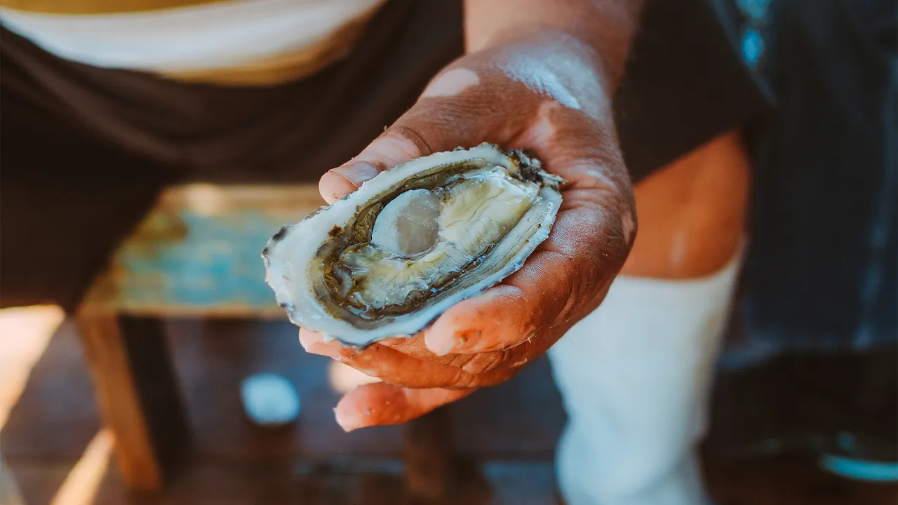 Youtube Thumbnail 647765792d32704d766c73 