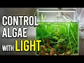 How to Balance Aquarium Lighting the Easy Way