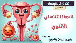 التكاثر في الانسان الجهاز التناسلي الأنثوي وتكوين البويضات الصف الثالث الثانوي 2024 