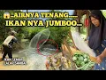MENJALA IKAN DI SUNGAI | Masak Ikan Bumbu Kuning, Lalapan dan Sambal