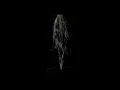 Dawn - The Cinematic Orchestra