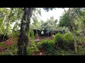 Download Lagu Kaget.. Jumpa Pasangan Muda Mudi Tangguh Tinggal Di Rumah Tengah Hutan Angker Di Lereng Bukit