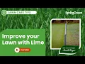 When to Apply Lime to Your Lawn Lawn Treatment Tips