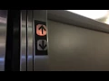 Dover Impulse Hydraulic Elevator - Pontchartrain Center
