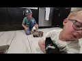 5-Week-Old F1 Standard Aussiedoodle Puppies First Kitchen Adventure