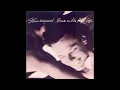 Steve Winwood ‎– Back In The High Life Again