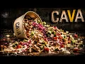 How CAVA Fooled Everyone and Still Succeeded