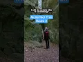 Download Lagu Mullerthal Trail Route 2: misschien wel de mooiste hike in Luxemburg #wandeltip #vakantie #reistips