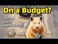 The Cheapest Way to Take Care of Hamsters