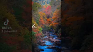 اصبروا وصابروا للشيخ محمد الليثي 