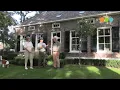Download Lagu Boerderijtuin van Erik en Jennnie Schuiling