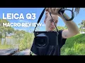 LEICA Q3 REVIEW SAMPLE PHOTOS Macro Photography