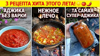 Три лучших рецепта — аджика без варки, нежное лечо и та самая супер аджика!