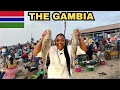 Download Lagu Exploring the Gambia biggest fish market ,Africa hidden fishing gem (mind blowing) 🇬🇲