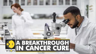 Download Medical Miracle: A breakthrough in Cancer cure | International News | English News | WION MP3