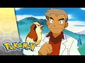 Download Lagu Will the Real Oak Please Stand Up? | POKÉMON FULL EPISODE 36 | Season 5