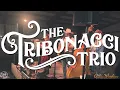 Download Lagu Valerie bluegrass cover by Tribonacci Trio