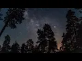 Tate McRae x Ali Gatie - lie to me (Lyrics)