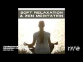 Light Meditation Music - Relaxing Music & Parijat | RaveDj