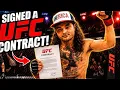 No ufc Career Mode episode 2 Contact Fight