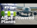 80 Less CO Will Algae Fuel our Planes