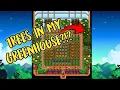 You can plant trees in your greenhouse in Stardew Valley Fullscreen updated version