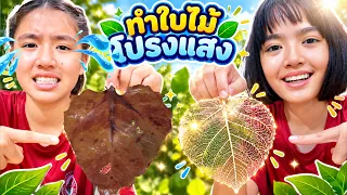 หนูยิ้มหนูแย้ม ทำใบไม้โปร่งแสง! ส่องทะลุได้ยังไง?