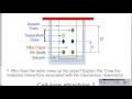 Intro to Sticky Molecules Lab